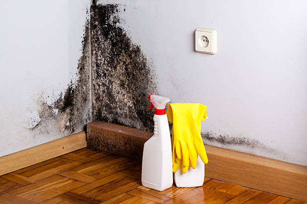 Sewage cleanup and water damage restoration in Des Arc, AR